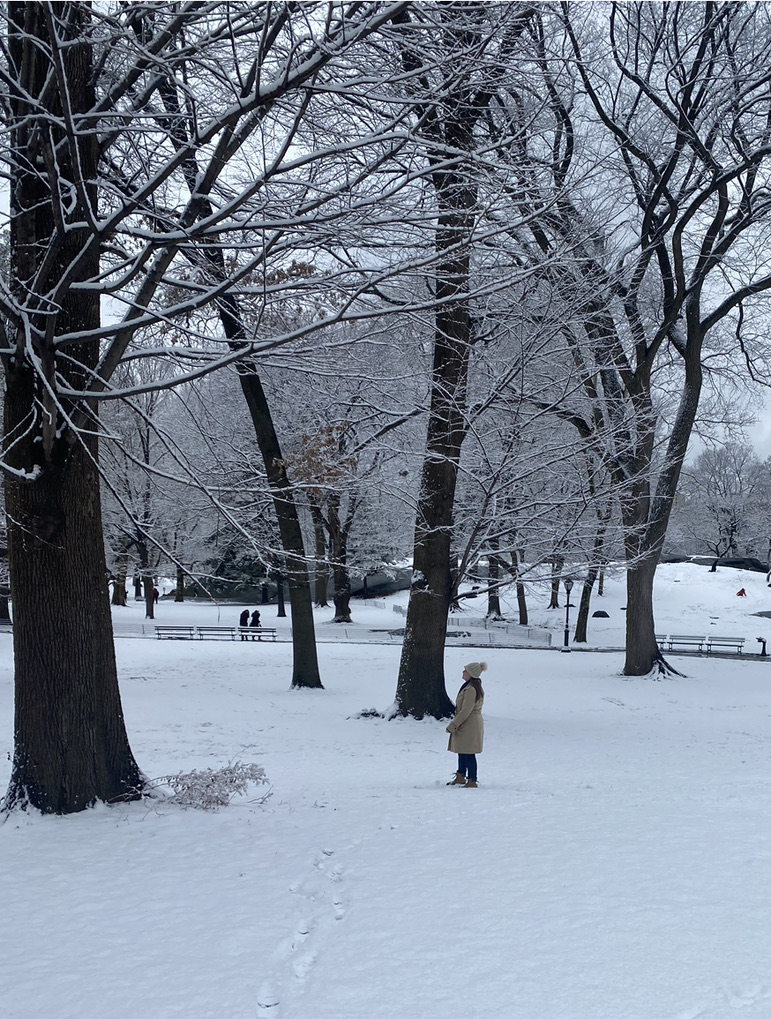 Free things to do in New York in the Winter